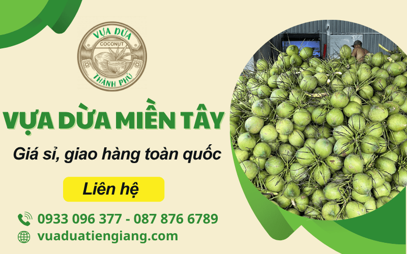 vựa dừa miền Tây